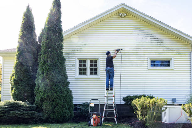 Best Driveway Pressure Washing  in USA